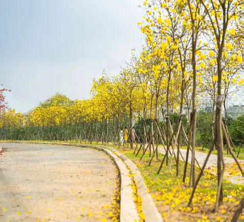 The beauty of Hanoi